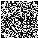 QR code with Pyramation Media contacts