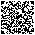 QR code with Napoli contacts
