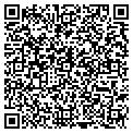 QR code with Podies contacts