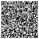 QR code with Project Concepts contacts
