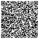 QR code with Baldwin Custom Screens contacts