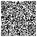QR code with Pyramid Abstract Inc contacts