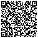 QR code with Ystars contacts