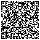 QR code with Pressed For Time contacts
