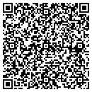 QR code with Carver Digital contacts