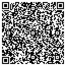 QR code with Proactive Solutions contacts