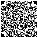 QR code with Crane David A contacts