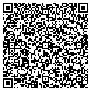 QR code with Princess Coiffures contacts