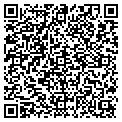 QR code with NYSDEC contacts