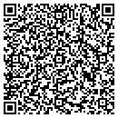QR code with Central New York DSO contacts