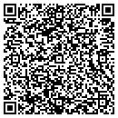 QR code with Cyber Systems Technology contacts