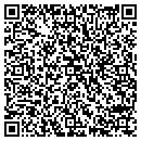 QR code with Public Works contacts