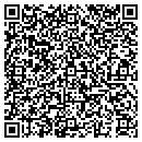 QR code with Carrie Mc Lain Museum contacts
