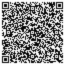 QR code with Public Storage contacts