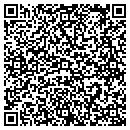 QR code with Cyborg Imaging Corp contacts