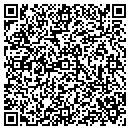 QR code with Carl M Weiner CPA PC contacts