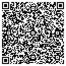 QR code with Pristine Landscaping contacts