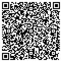QR code with P Cepeda contacts