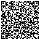 QR code with Central Restorations contacts