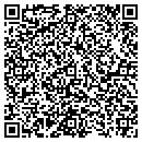 QR code with Bison Auto Glass Inc contacts