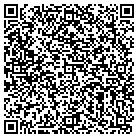 QR code with Blimpie Subs & Salads contacts