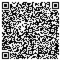 QR code with IMGA contacts