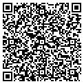 QR code with Nesbow contacts