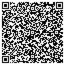 QR code with Premier Pools & Spas contacts