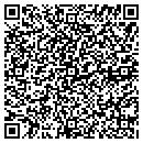 QR code with Public Abstract Corp contacts