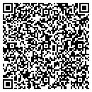 QR code with Productivesys contacts