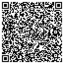 QR code with Chameleon Painting contacts