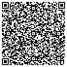 QR code with Spring Lake Car Wash contacts