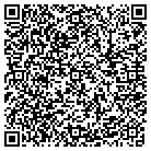 QR code with Public Accountancy Board contacts