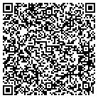 QR code with Public Eye Concepts contacts
