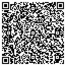 QR code with Castlehill Photo Lab contacts
