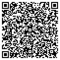 QR code with Curves contacts