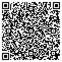 QR code with Nicola contacts