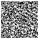 QR code with Purplewire LLC contacts