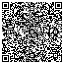 QR code with Pp Development contacts