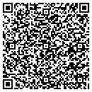QR code with Chimney Services Inc contacts