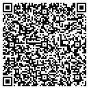 QR code with Putzer Carl T contacts