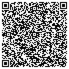 QR code with Blasdell Branch Library contacts