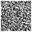 QR code with Clusters Of Vestal contacts