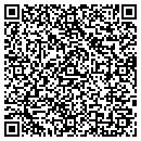 QR code with Premier Display & Box Mfg contacts