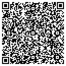 QR code with Practical Applications contacts