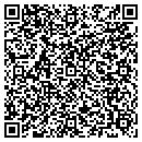 QR code with Prompt Solutions Inc contacts