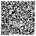 QR code with T Fry contacts
