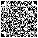 QR code with Consonant Networks contacts