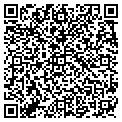 QR code with C Capp contacts