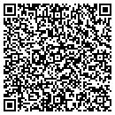 QR code with Ceutical Soft Inc contacts